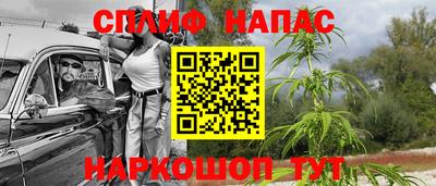 мдпв Беслан