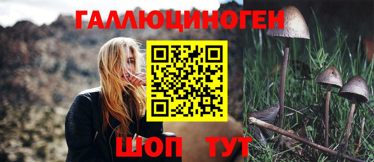Псилоцибиновые грибы Magic Shrooms  Вход с VPN  Зеленогорск 